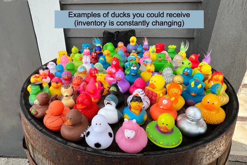 Collection of colorful rubber duck toys in various shapes and sizes. The ducks feature different designs, including a shark, a unicorn, a llama, a spaceship, a basketball, and a hedgehog. The text above the ducks reads 'Examples of ducks you could receive (inventory is constantly changing)'.