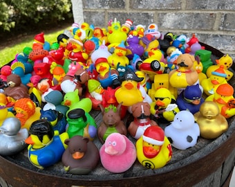 Bulk rubber ducks bulk rubber duck bulk ducks for ducking bulk duck for ducking duck duck variety ducks unique ducks duck pack duck set duck