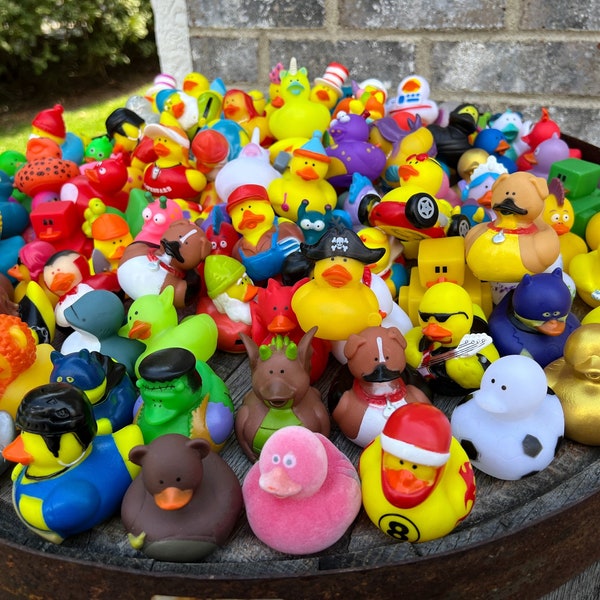 Bulk rubber ducks bulk rubber duck bulk ducks for ducking bulk duck for ducking duck duck variety ducks unique ducks duck pack duck set duck