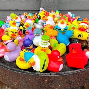 cruise ducks bulk cruise duck bulk rubber ducks bulk rubber duck bulk ducks for cruise bulk duck variety ducks for hiding on cruise