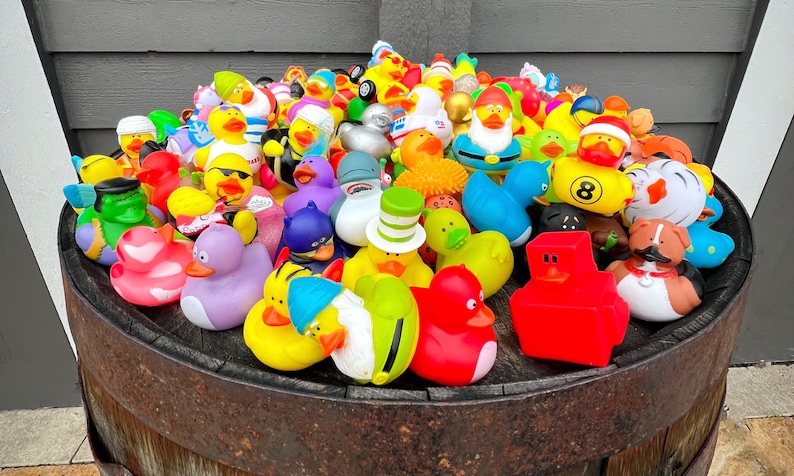cruise ducks bulk cruise duck bulk rubber ducks bulk rubber duck bulk ducks for cruise bulk duck variety ducks for hiding on cruise