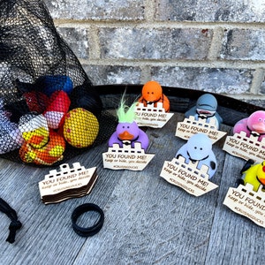 bag of rubber ducks for hiding cruise ship