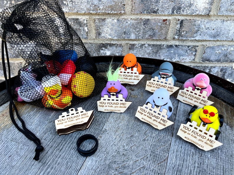 bag of rubber ducks for hiding cruise ship