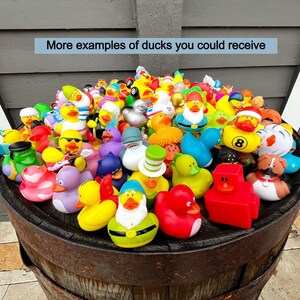 Bulk assorted rubber ducks for cruise ducks