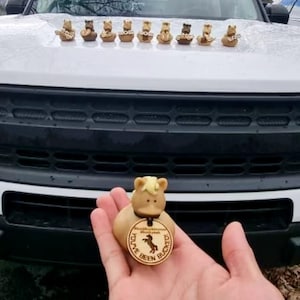 May include: A brown rubber duck with a horse head and a wooden tag that says "You've Been Bucked!"  The duck is being held in a hand in front of a white truck with a black grill.