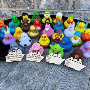 Collection of colorful rubber duck toys with cruise ship tags you can personalize with your cruise details and play hide and seek with cruisers