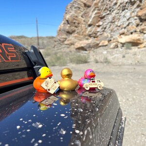 Bulk rubber ducks bulk rubber duck