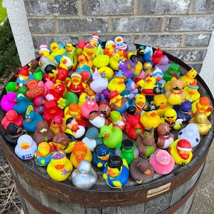 Large duck assortment for bath time, stocking stuffers, ducking jeeps, teacher prizes, party favors and more