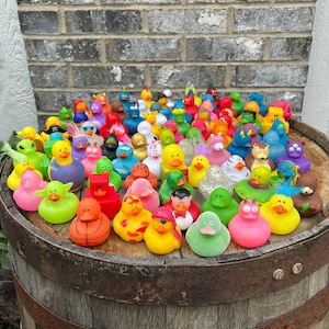 duck duck variety ducks unique ducks duck pack duck set duck Bulk rubber ducks bulk rubber duck bulk ducks for ducking bulk duck for ducking