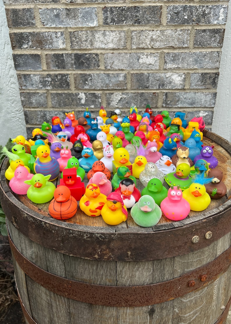 duck duck variety ducks unique ducks duck pack duck set duck Bulk rubber ducks bulk rubber duck bulk ducks for ducking bulk duck for ducking
