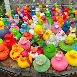 bulk rubber ducks bulk rubber duck bulk ducks for ducking bulk duck for ducking duck duck variety ducks unique ducks duck pack duck set duck