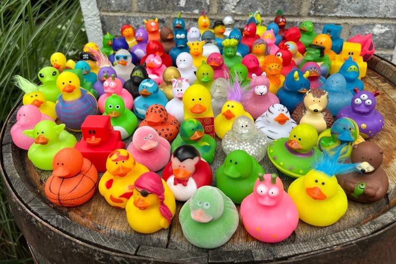 bulk rubber ducks bulk rubber duck bulk ducks for ducking bulk duck for ducking duck duck variety ducks unique ducks duck pack duck set duck