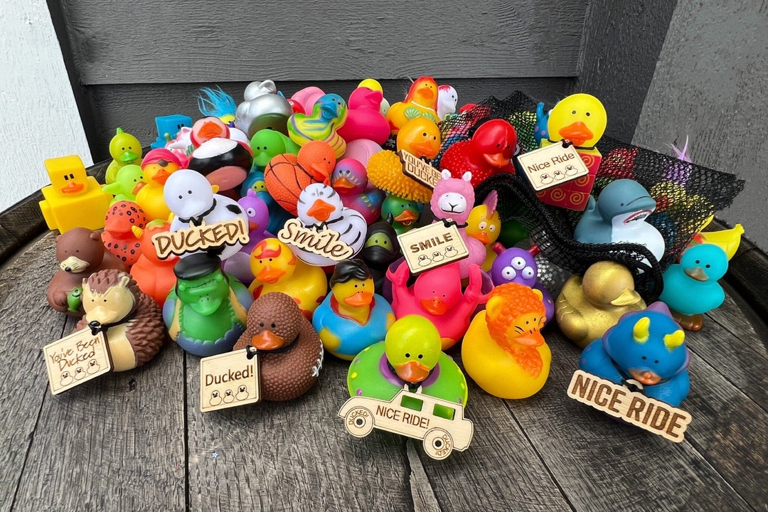 Bulk Duck Duck Jeep Ducks Rubber Ducks for Jeeps Bulk Rubber Etsy Canada