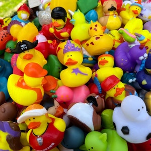 Bulk cruise ducks bulk cruise duck
