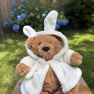 Jelly Cat Bartholomew Bear and his robe