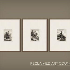 Vintage Etching Print Set of 3 Prints | Forest Etchings | Printable Wall Art | Farmhouse Gallery Wall Art | Tree Sketch | Landscape Study