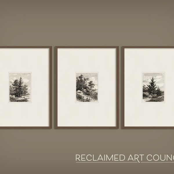 Vintage Etching Print Set of 3 Prints | Forest Etchings | Printable Wall Art | Farmhouse Gallery Wall Art | Tree Sketch | Landscape Study