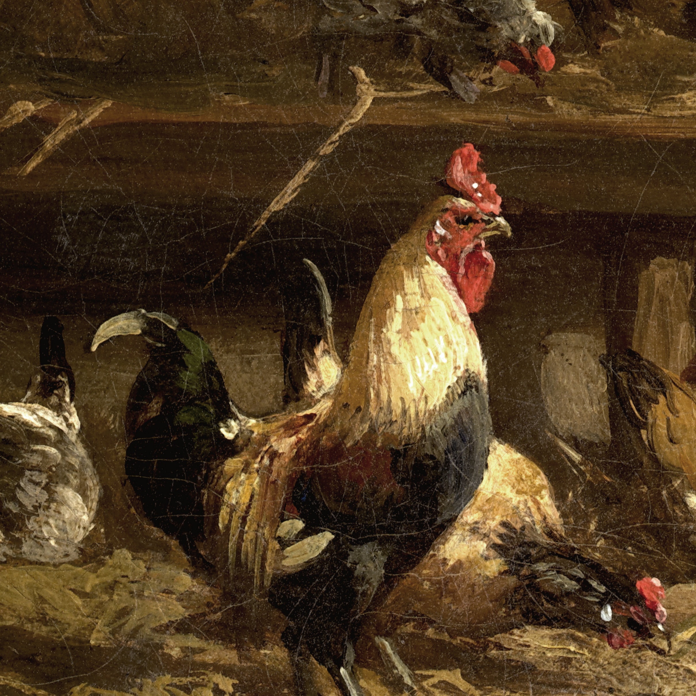 Chicken Coop Print Rustic Barn Wall Art Chickens Farm Etsy