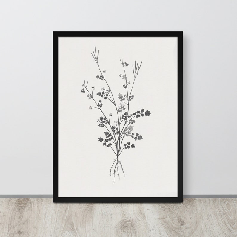 Rustic Flower Drawing Black and White Art Neutral Wall Art Home Decor ...