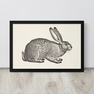 Vintage Rabbit Sketch | Bunny Rabbit Drawing | Antique Rabbit Print | Bunny Wall Art | Farmhouse Art | Sketchbook Drawing | Nursery Wall Art