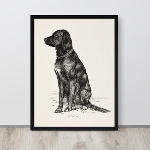 Vintage Dog Print | Black Labrador Drawing | Black Lab Sketch | Antique Dog Print | Labrador Wall Art | Farmhouse Art