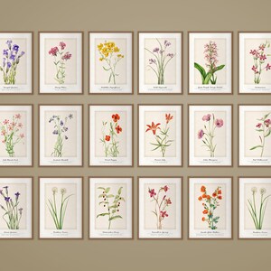 Printable Floral Gallery Wall Art Set | Watercolor Botanical Print Set | Modern Farmhouse Gallery Wall