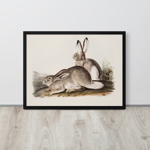 Vintage Rabbit Artwork | Antique Bunnies Print | Nursery Bunny Art | Vintage Hares | Printable Wall Art | Farmhouse Nursery | Nursery Art