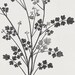 Rustic Flower Drawing Black and White Art Neutral Wall Art Home Decor ...