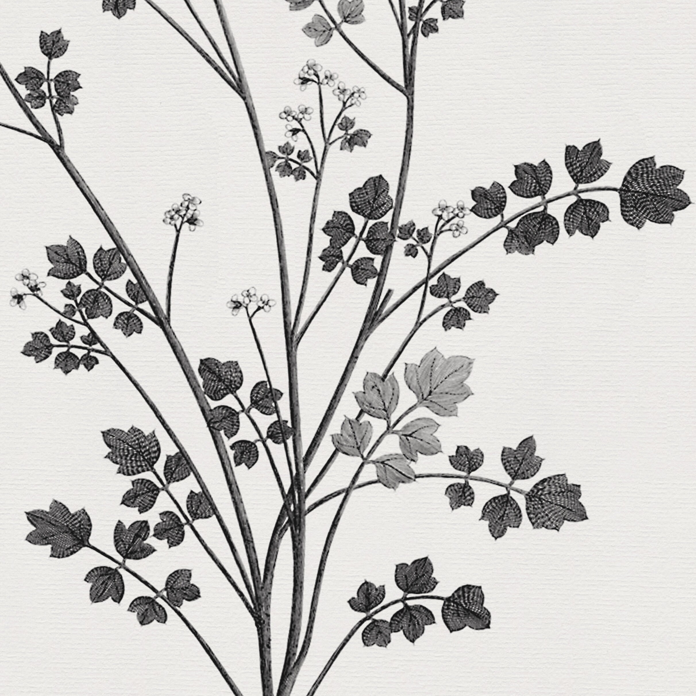 Rustic Flower Drawing Black and White Art Neutral Wall Art Home Decor ...