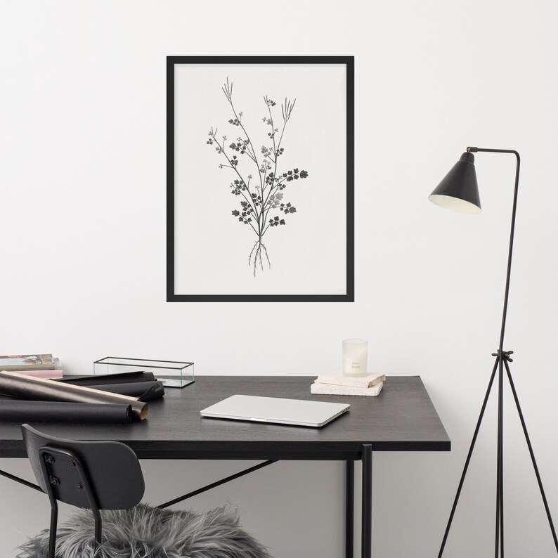 Rustic Flower Drawing Black and White Art Neutral Wall Art - Etsy