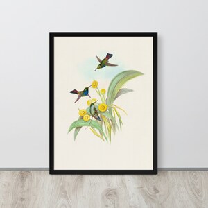 Vintage Hummingbird Print | Bird and Botanical Wall Art | Hummingbirds Illustration | Digital Wall Art | Downloadable Art