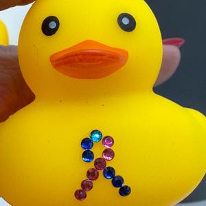 Custom Rubber Ducks Cancer Support Awareness