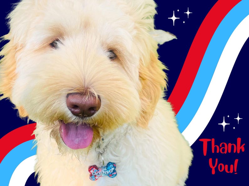 May include: A light-colored dog with a pink tongue and a bone-shaped tag that says "RALLY". The background is navy blue with red, white, and blue stripes and the words "Thank You!"