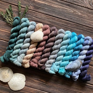 Cascadia West Coast fade Hand-dyed set 12 mini skeins 10g 20g 50g full skein ready to ship mini set 80% Superwash wool 20Nylon sock DK yarn