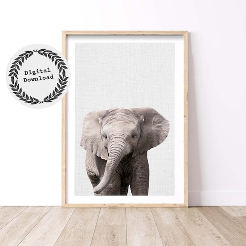 Elephant Print Baby Elephant Photo Safari Animal Wall Art Etsy