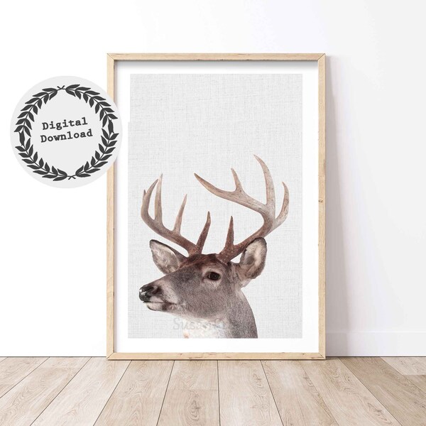 Deer Head Wall Decor for Nursery Etsy