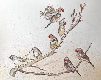 Zebra Finch - Linocut ORIGINAL Artwork