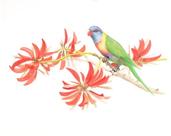 Visiting the Coral Tree - Limited Edition Print