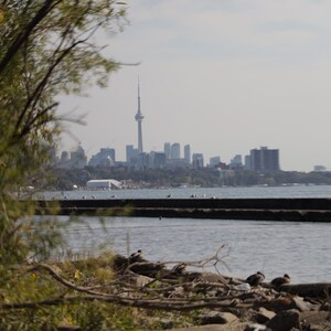 Cityscape Print, Photo Print