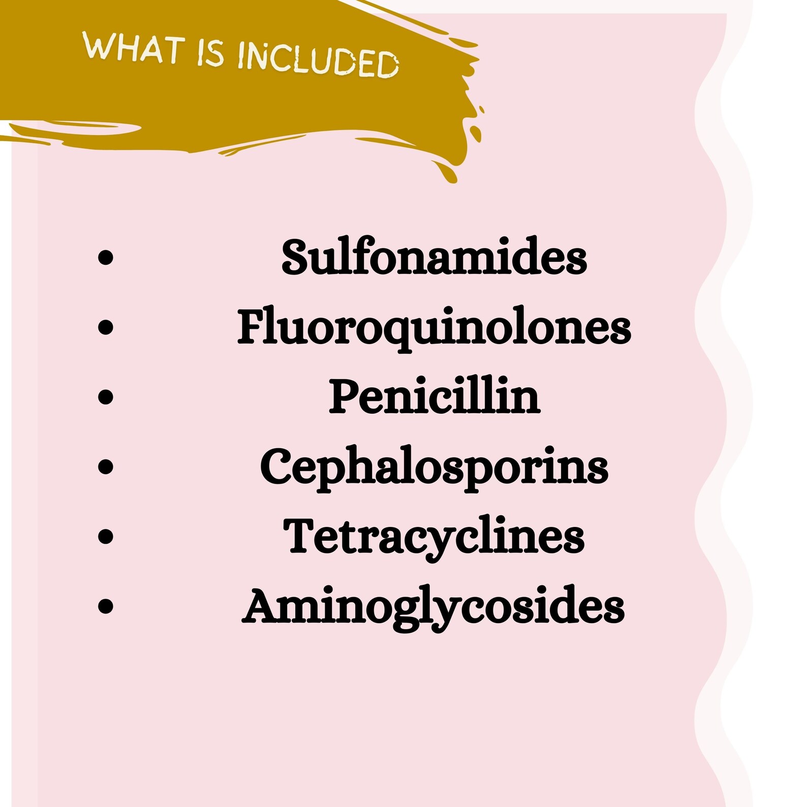 Antibiotics Pharmacology Nursing Student Notes Etsy