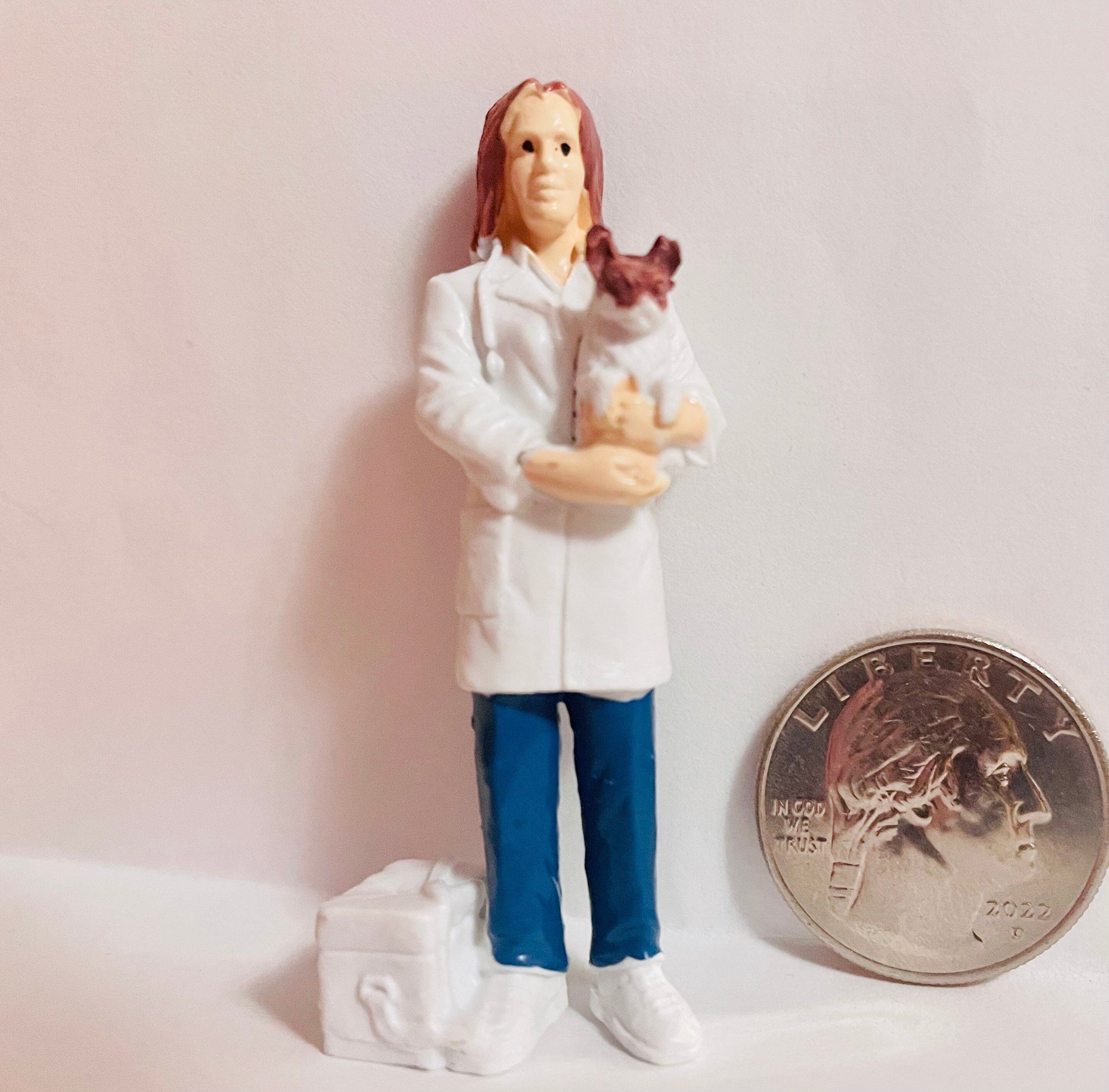 Veterinarian Animal Doctor Miniature Figure Mini Professional Etsy