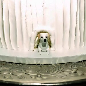 Personalized Dog Wedding Cake, Pet Birthday Cake, Pet Decorations, Cat Cake Decorations, Pet Birthday Anniversary Gifts, Dog Statues