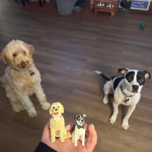 Personalized Custom Pet WeddingCake Decorations, Pet Cake Decorations, Pet Birthdays, Pet Statues, Dog Birthday Cake Decorations,Dog Statues