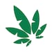 Good Hemp Underwear