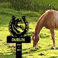 Custom Horse Memorial Stake, Personalized Horse Grave Marker Sign, Horse Remembrance Stake, Horse Garden Sign,Sympathy Sign,Horse Loss Gift product logo