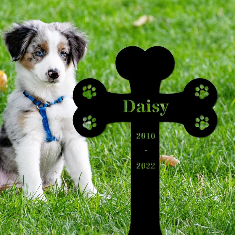 May include: Black metal pet memorial in the shape of a bone with paw prints. The memorial has the name "Daisy" and the dates "2010 - 2022" engraved on it. A blue merle Australian Shepherd puppy sits in the grass in front of the memorial.
