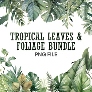 Watercolor Tropical Leaves Printable Watercolor Clipart Tropical Leaves Png Leaf Stickers Foliage Clipart Digital Download Clipart Sets