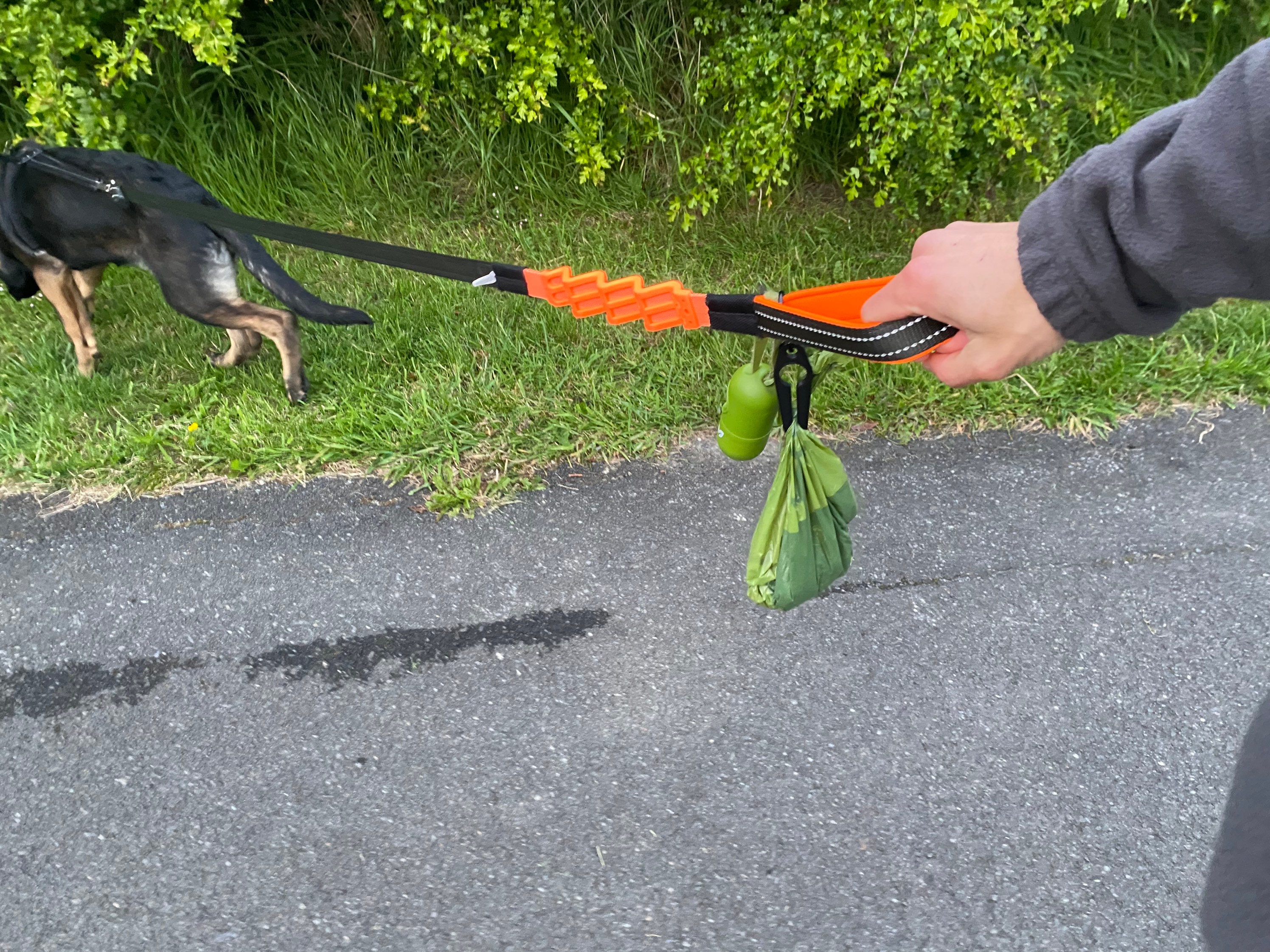 Doggie sales poop catcher