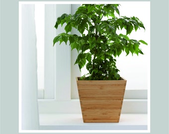 Wooden Flower Pot SVG File: Laser Cut Template (Digital Download)