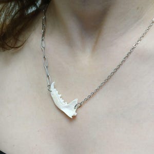 bone necklace.  gothic necklace.  necklace made of bones.  necklace and mink jaws
